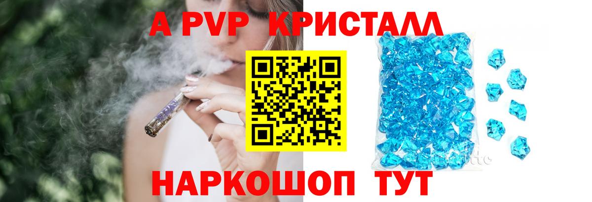 Alfa_PVP СК КРИС  Вход с VPN  Курчалой  Альфа ПВП СК 