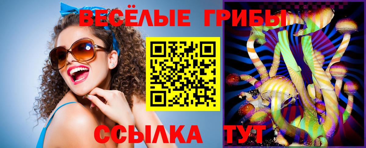Курчалой  даркнет сайт  Вход с VPN  Галлюциногенные грибы GOLDEN TEACHER 
